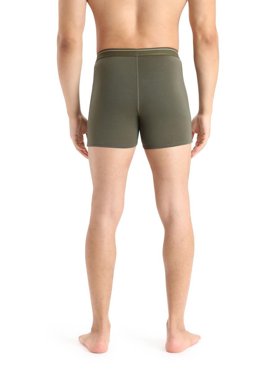 Men's Icebreaker Merino Anatomica Boxers Underwear Loden | CA 1634ZUTG